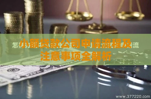 小额贷款公司申请流程及注意事项全解析