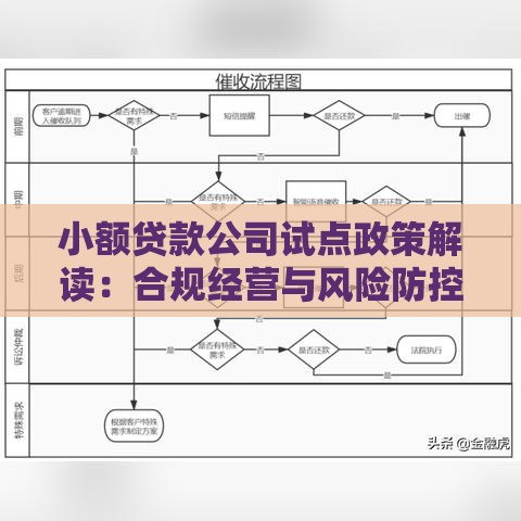 小额贷款公司试点政策解读：合规经营与风险防控指南