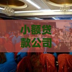 小额贷款公司试点政策解读：合规经营与风险防控指南