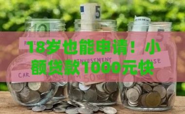 18岁也能申请！小额贷款1000元快速到账攻略（真实渠道解析）