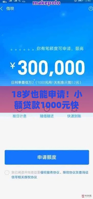 18岁也能申请！小额贷款1000元快速到账攻略（真实渠道解析）