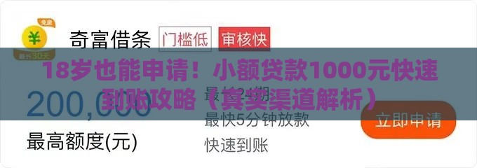 18岁也能申请！小额贷款1000元快速到账攻略（真实渠道解析）