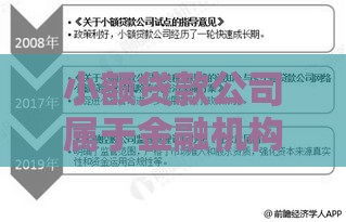 小额贷款公司属于金融机构吗？从贷款角度解析监管与风险