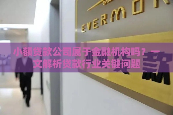 小额贷款公司属于金融机构吗？一文解析贷款行业关键问题