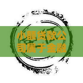 小额贷款公司属于金融企业吗？解析行业定位与监管政策