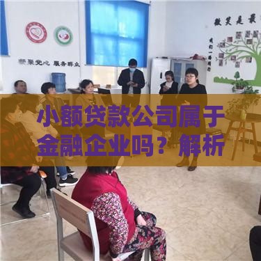 小额贷款公司属于金融企业吗？解析行业定位与监管政策