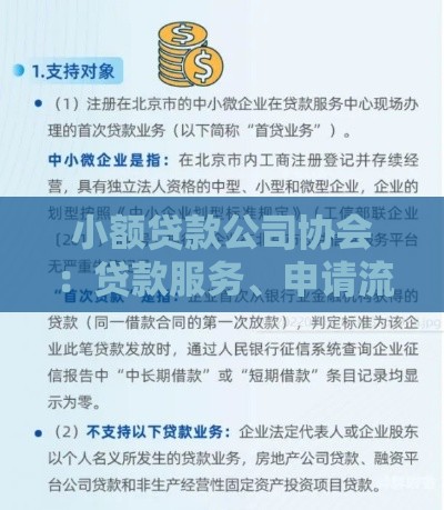 小额贷款公司协会：贷款服务、申请流程与行业趋势解析