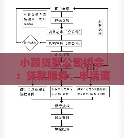 小额贷款公司协会：贷款服务、申请流程与行业趋势解析