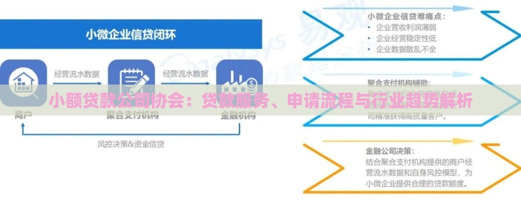小额贷款公司协会：贷款服务、申请流程与行业趋势解析