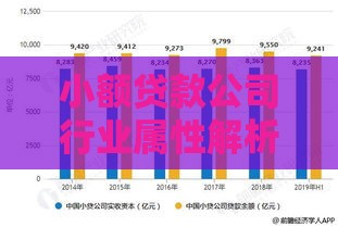 小额贷款公司行业属性解析：金融领域的灵活补充者