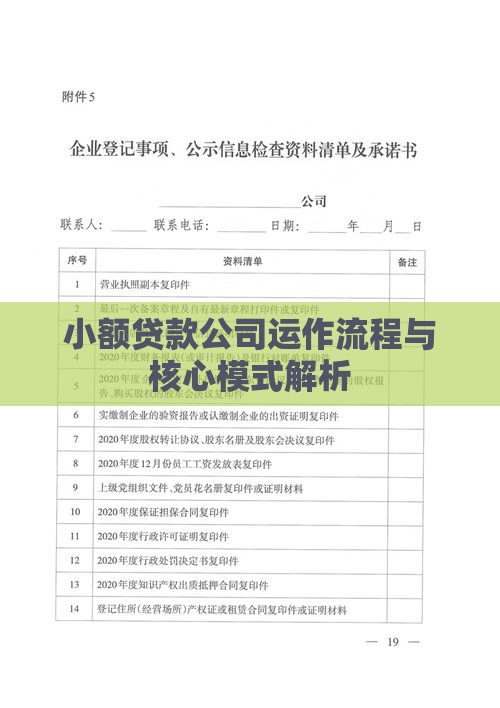 小额贷款公司运作流程与核心模式解析