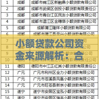 小额贷款公司资金来源解析：合规途径与风险防范