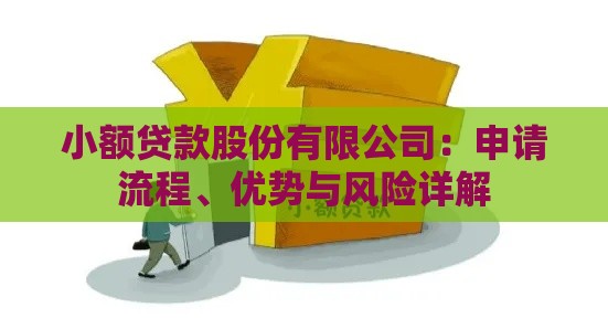小额贷款股份有限公司：申请流程、优势与风险详解