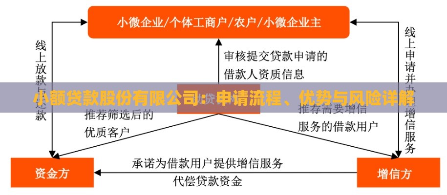 小额贷款股份有限公司：申请流程、优势与风险详解