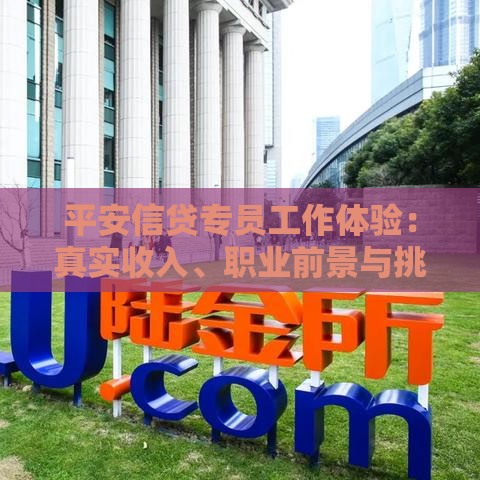 平安信贷专员工作体验：真实收入、职业前景与挑战分析