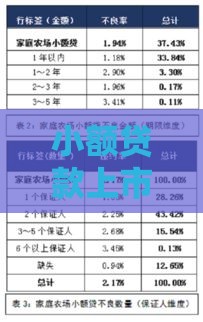 小额贷款上市公司排名：利率对比与风险分析