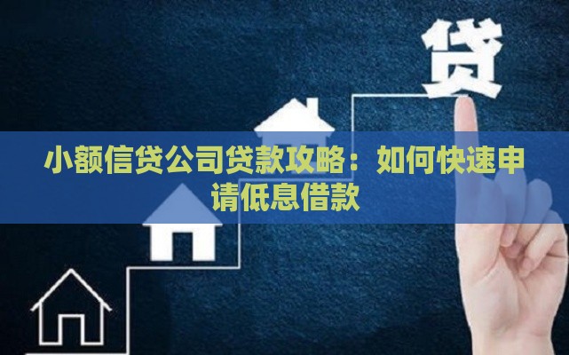 小额信贷公司贷款攻略：如何快速申请低息借款