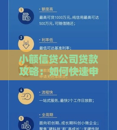 小额信贷公司贷款攻略：如何快速申请低息借款