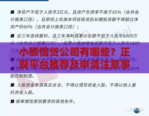 小额信贷公司有哪些？正规平台推荐及申请注意事项