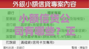 小额信贷公司有哪些？正规平台推荐及申请注意事项