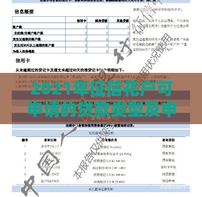 2021年征信花户可申请的贷款类型及申请技巧解析