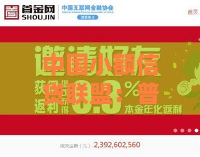 中国小额信贷联盟：普惠金融如何助力小微企业与个人贷款