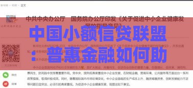 中国小额信贷联盟：普惠金融如何助力小微企业与个人贷款