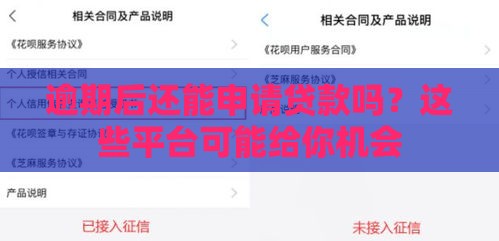 逾期后还能申请贷款吗？这些平台可能给你机会