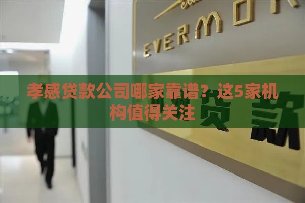 孝感贷款公司哪家靠谱？这5家机构值得关注