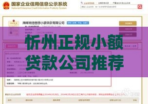 忻州正规小额贷款公司推荐：快速放款与低息方案详解