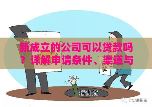 新成立的公司可以贷款吗？详解申请条件、渠道与避坑指南