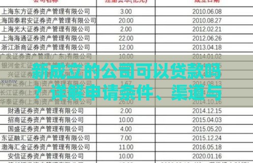 新成立的公司可以贷款吗？详解申请条件、渠道与避坑指南