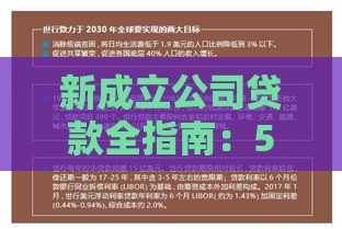 新成立公司贷款全指南：5种融资方式+申请流程详解