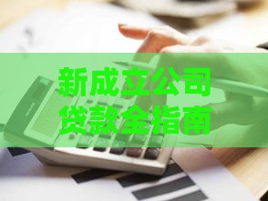 新成立公司贷款全指南：5种融资方式+申请流程详解