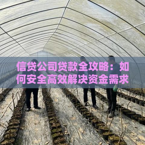信贷公司贷款全攻略：如何安全高效解决资金需求