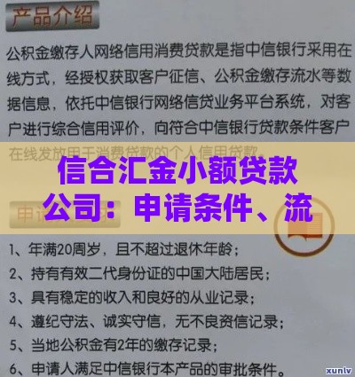 信合汇金小额贷款公司：申请条件、流程与用户真实评价