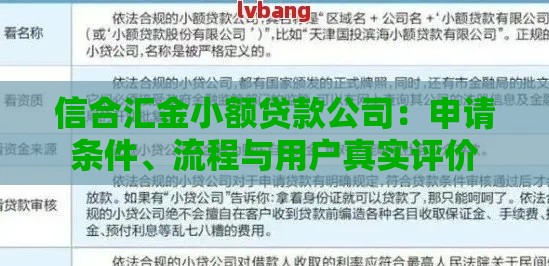 信合汇金小额贷款公司：申请条件、流程与用户真实评价