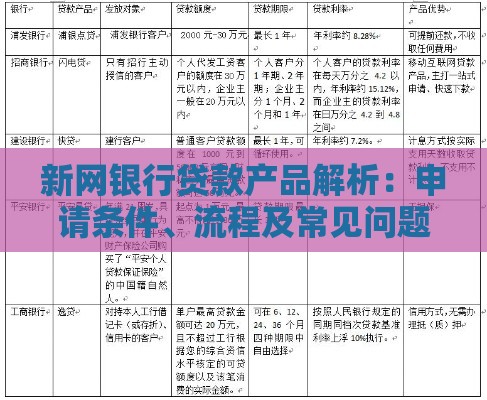 新网银行贷款产品解析：申请条件、流程及常见问题全攻略