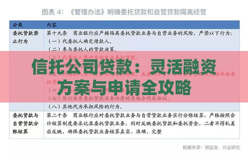 信托公司贷款：灵活融资方案与申请全攻略