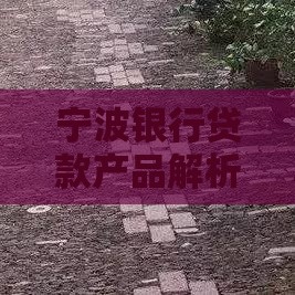 宁波银行贷款产品解析：信用贷、抵押贷、经营贷全攻略