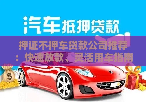 押证不押车贷款公司推荐：快速放款、灵活用车指南