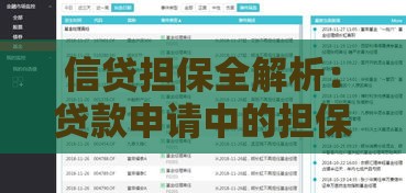 信贷担保全解析：贷款申请中的担保方式与风险规避指南