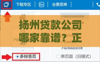 扬州贷款公司哪家靠谱？正规机构推荐及申请流程全解析