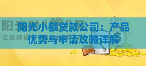 阳光小额贷款公司：产品优势与申请攻略详解