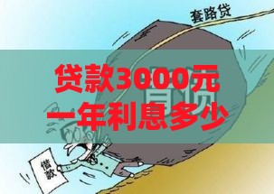 贷款3000元一年利息多少算正常？教你避开高利贷陷阱