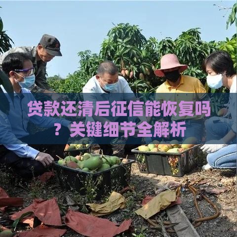 贷款还清后征信能恢复吗？关键细节全解析