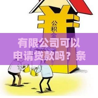 有限公司可以申请贷款吗？条件、流程及常见问题解析