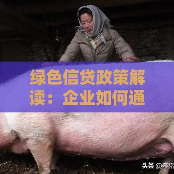 绿色信贷政策解读:企业如何通过环保项目获取低息贷款 绿色信贷政策解读:企业如何通过环保项目获取低息贷款