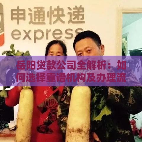 岳阳贷款公司全解析：如何选择靠谱机构及办理流程