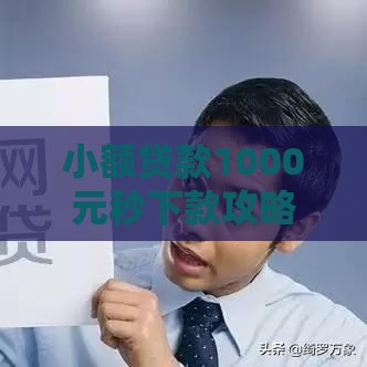 小额贷款1000元秒下款攻略：快速到账技巧与平台推荐